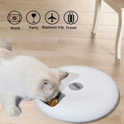 Pet Food Feeder | Automatic Feeder For Pet | Puppy Paw Pets