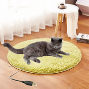 Thermostatic Waterproof Electric Pet Blanket with USB Connection