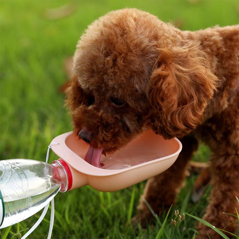 Portable Pet Dogs Water Bottle For Small & Large Dogs