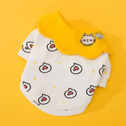 Adorable Princess-Themed Pet Apparel for Dogs and Cats