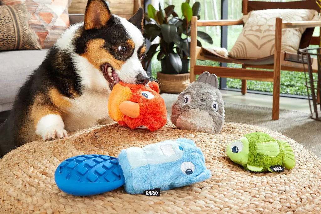 Pawsome Playtime: The Importance of Choosing the Right Dog Toys
