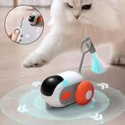 Interactive Remote-Controlled Cat Racing Car