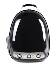Portable Pet Puppy cat Backpack Carrier Bubble