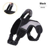 Breathable Anti-Punching Harness for Medium to Large Dogs - Chest & Back Traction