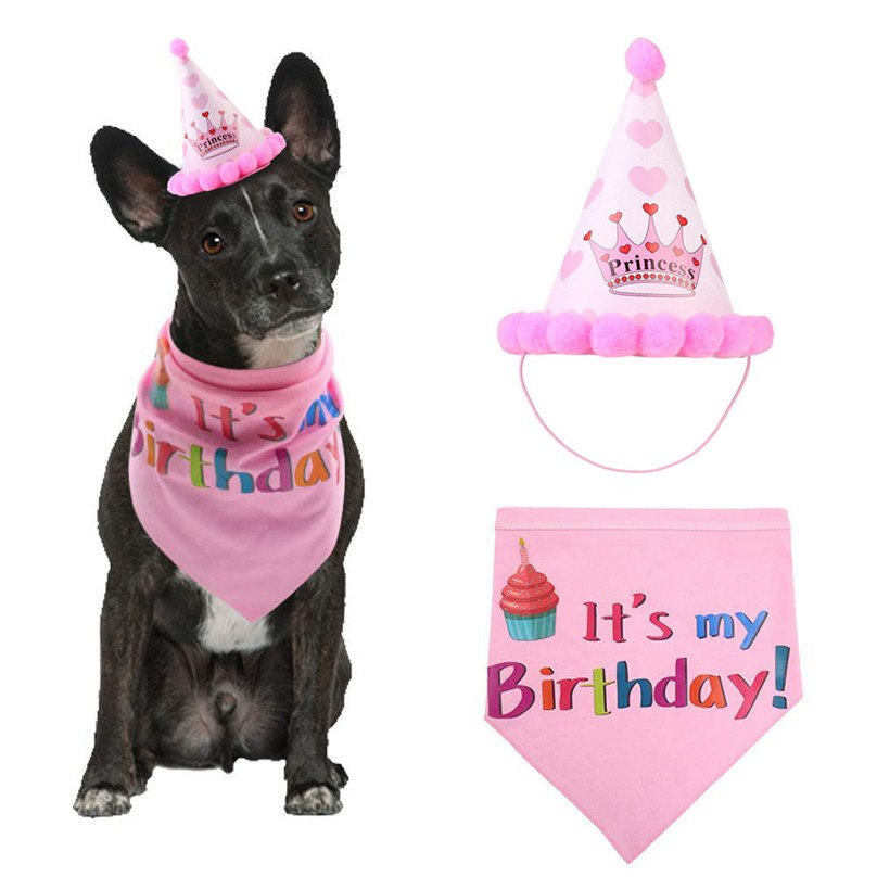 Dog Birthday Costume | Pet Party Dress | Puppy Paw Pets