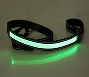 Solar-Powered LED Dog Collar with Adjustable Length and Multi-Color Lights