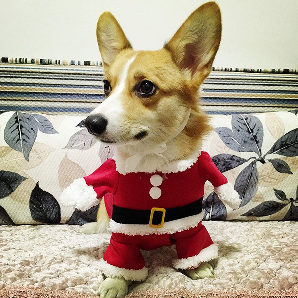 Lovely Christmas Pet Santa Claus Suit