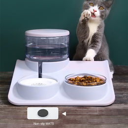 Automatic Cat Feeder | Automatic Dog Feeder | Puppy Paw Pets