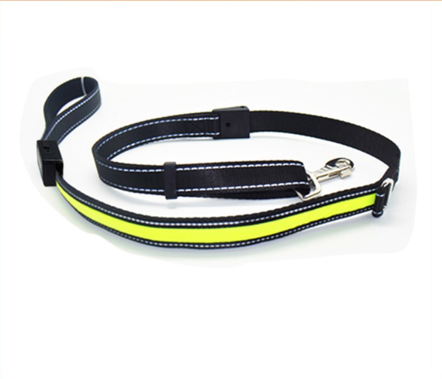 Fluorescent dog collar