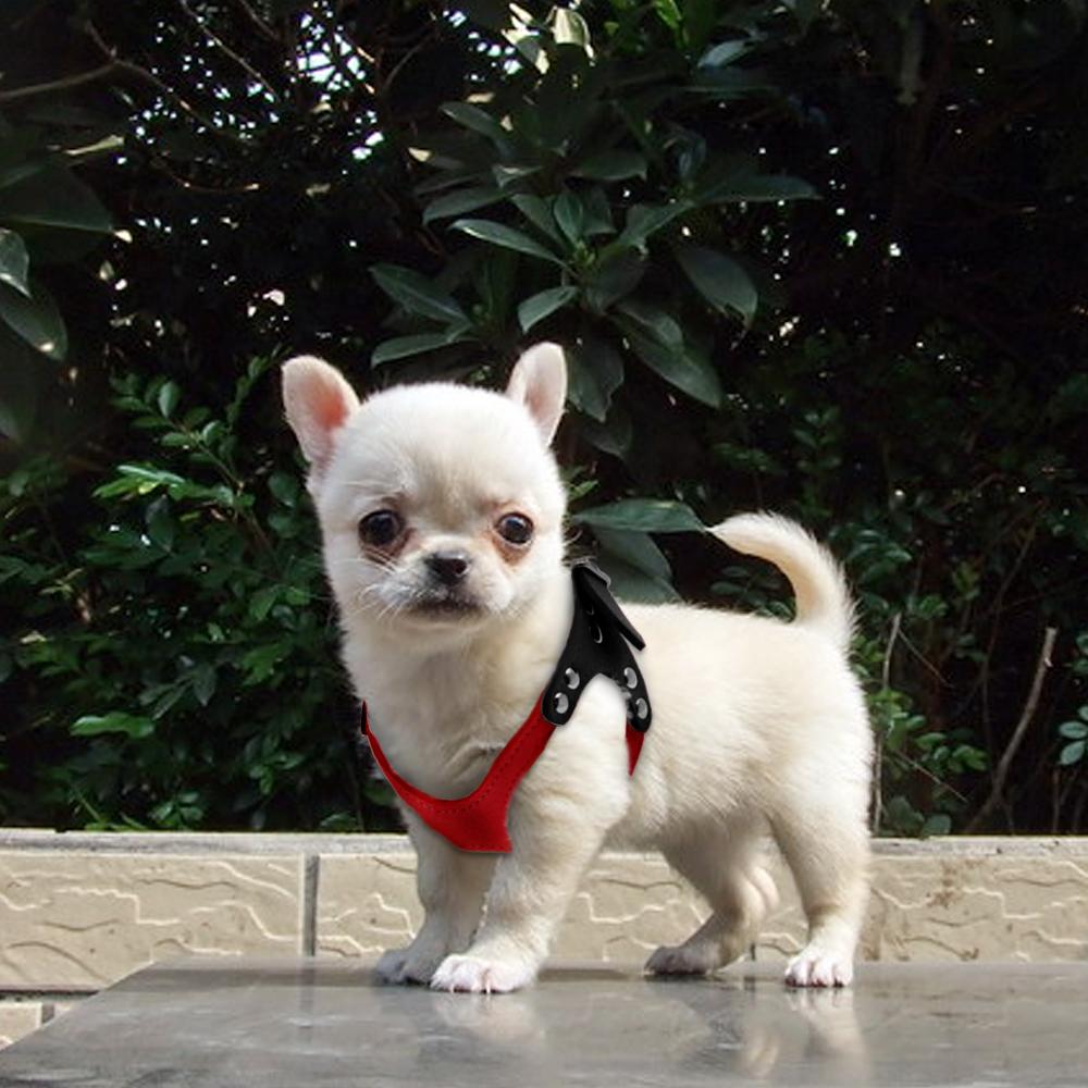 Soft Leather Small Dog Harness for Puppies
