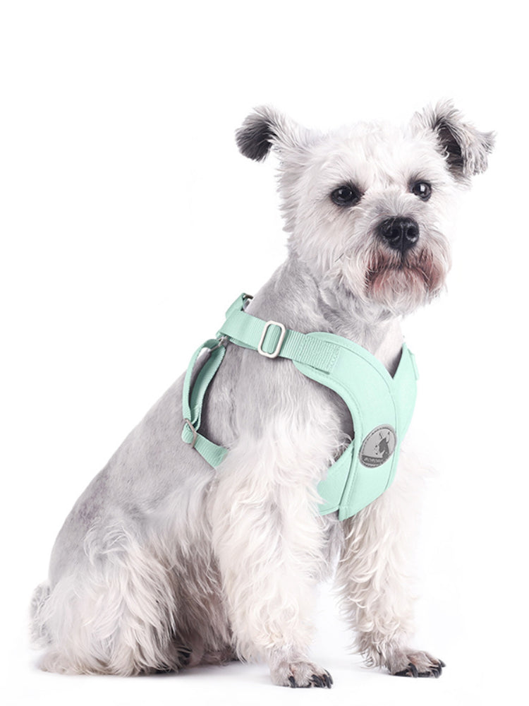 Pet Chest Strap New Fresh Summer Vest-Style Dog Leash Pet Supplies