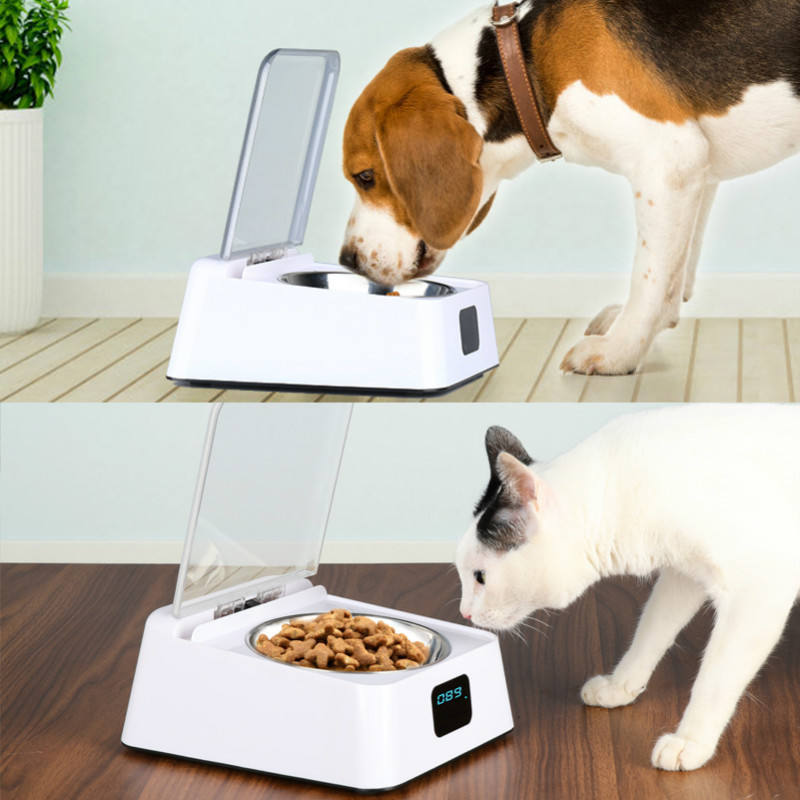 Pet 5G Bowl Pet Automatic Feeder Anti-Cockroach Anti-Mouse Moisture-Proof Bowl Dog Food Utensils