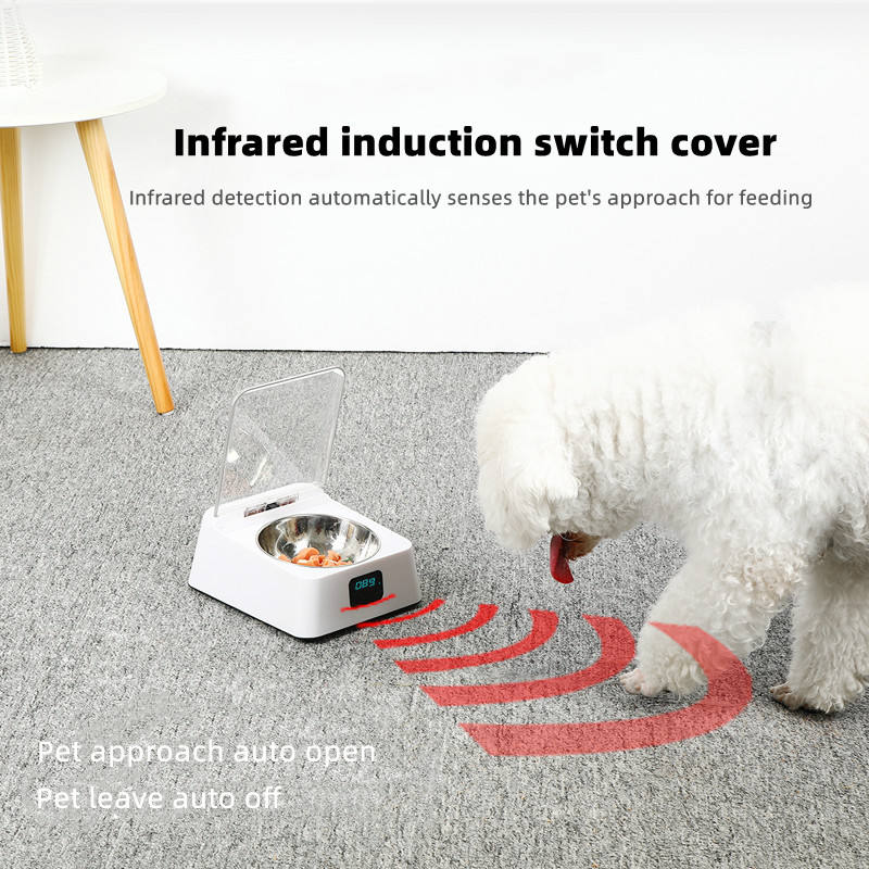 Pet 5G Bowl Pet Automatic Feeder Anti-Cockroach Anti-Mouse Moisture-Proof Bowl Dog Food Utensils