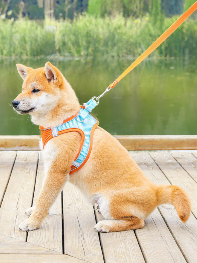 Pet Supplies Vest cat Dog Chest Strap Breathable Reflective Dog harness