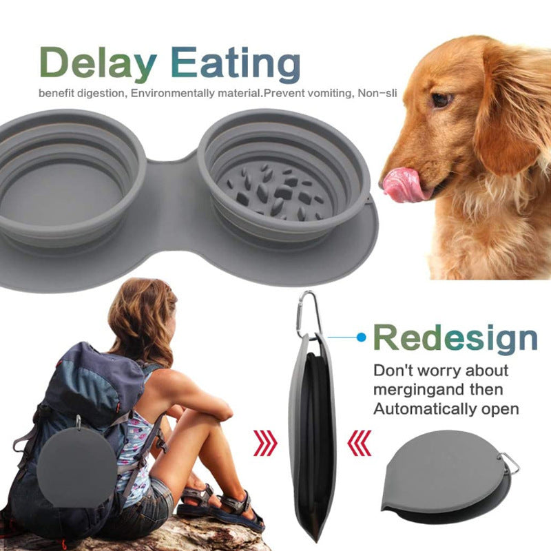 Pet Slow feeding Anti-Choking Dog Bowl