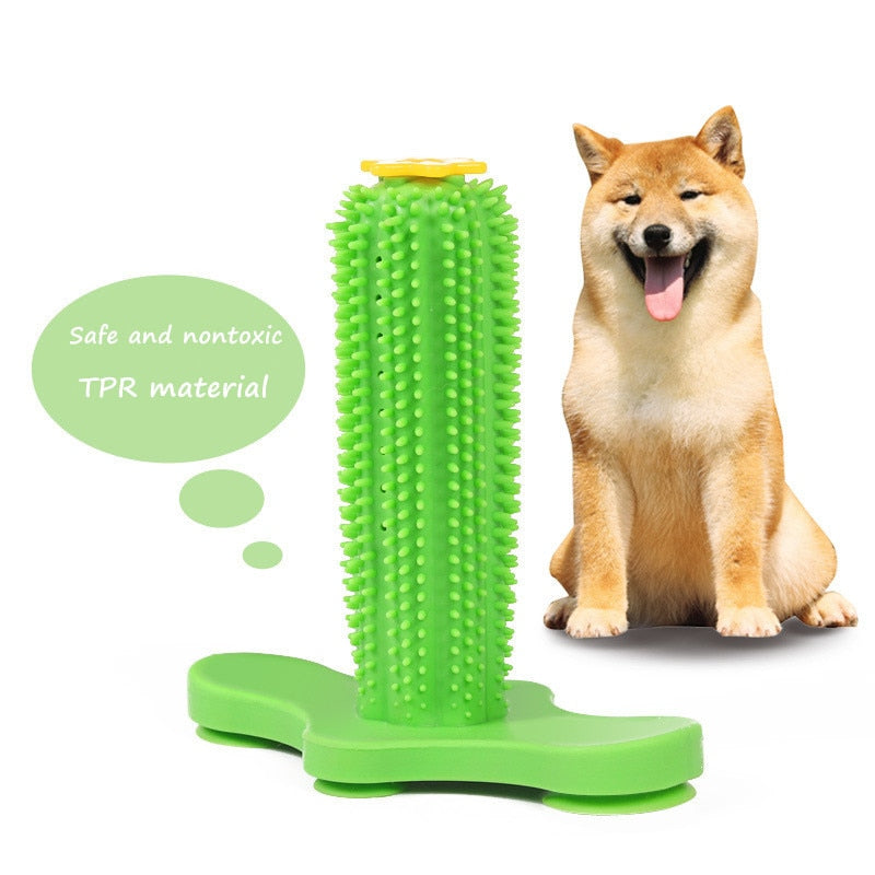 Tooth Cleaning Dog Chew Toy