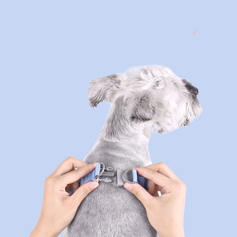 Pet Chest Strap New Fresh Summer Vest-Style Dog Leash Pet Supplies
