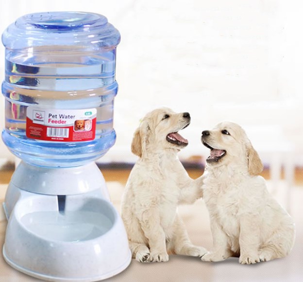 Pets Automatic Feeder Drinking Water Fountains