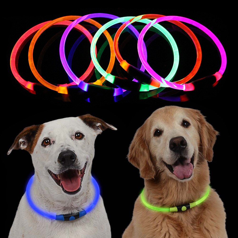 Luminous collar Transparent PU dog collar