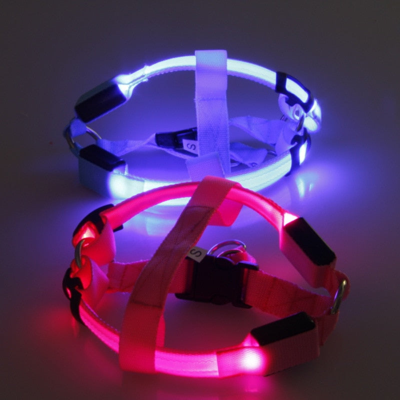 Nylon Pet Safety LED Harness for Dogs