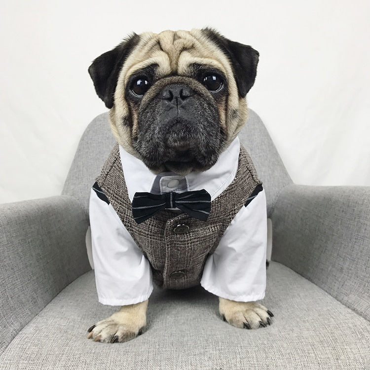 Dog Cat Clothes Wedding Party Suit