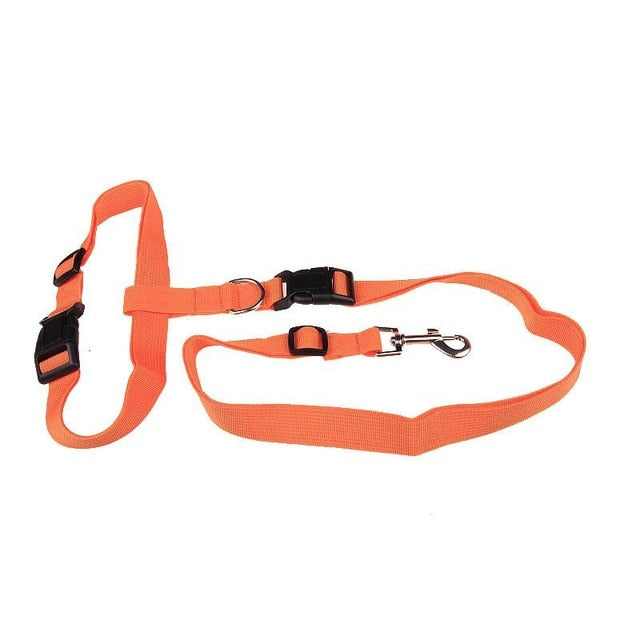 Attractive Traction Pulling Leash Pet Dog Running Jogging Convenient Safe