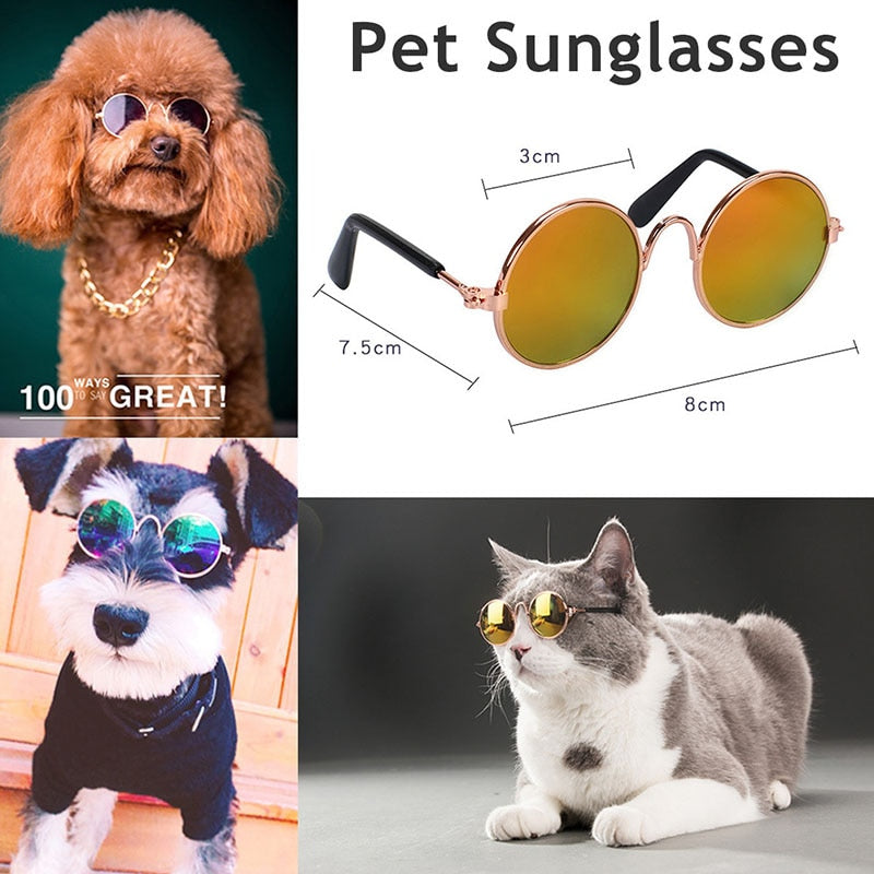 Pet Cat Glasses Small Dog Glasses