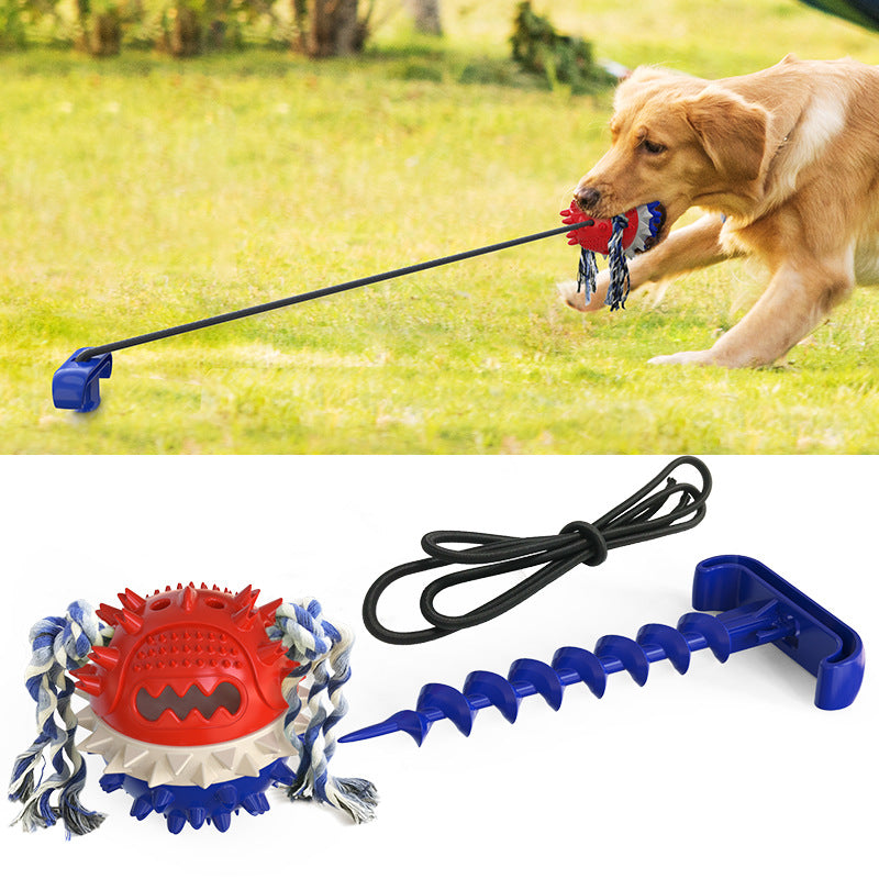Dog Molar Outdoor Tug Of War Dog Toy