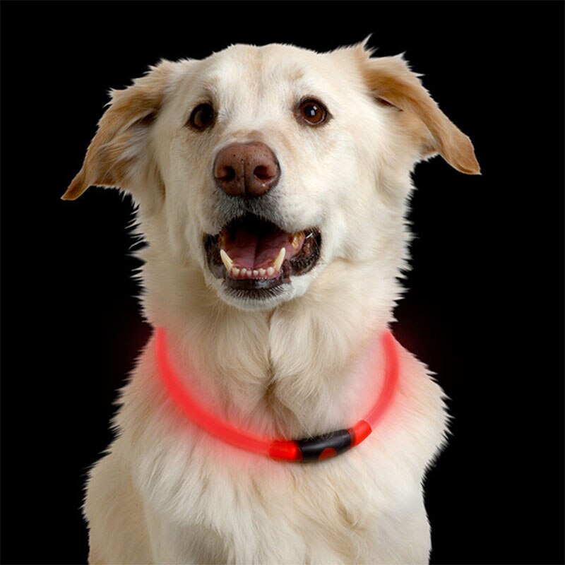 Luminous collar Transparent PU dog collar