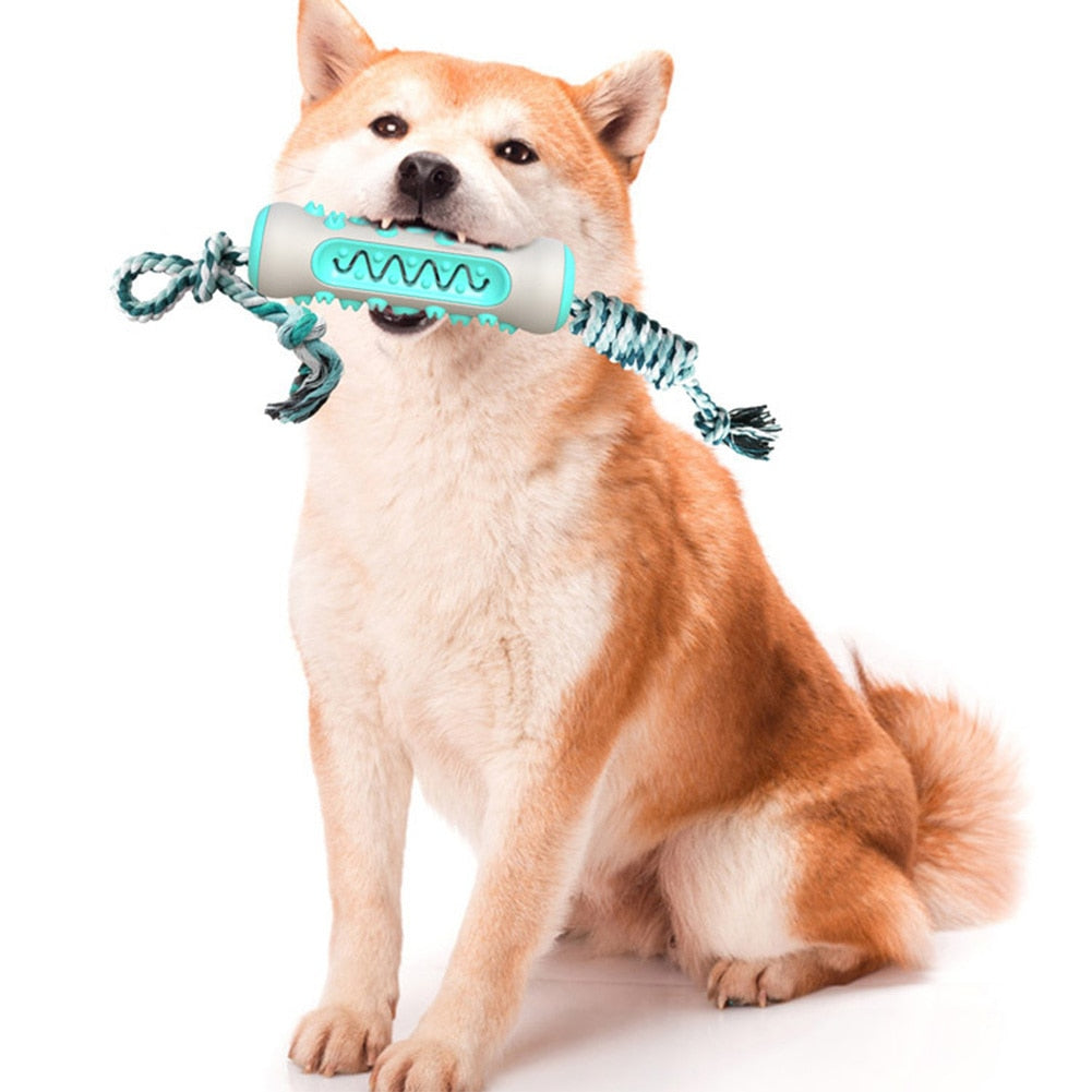 Pet Dog ToothBrush Sticker Chew Toy