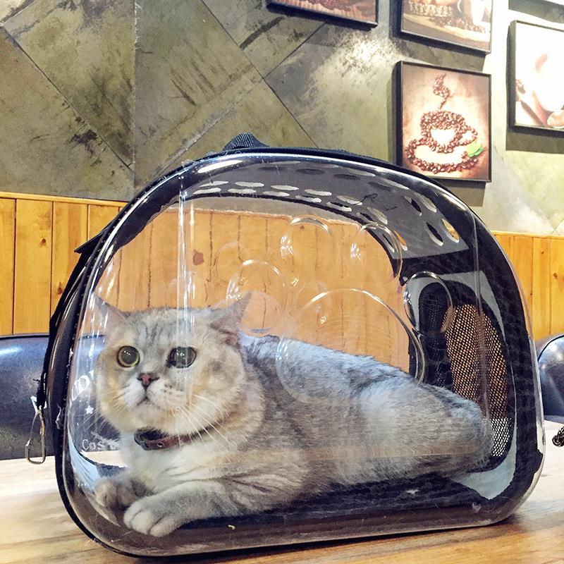 Pet Carrier For Cat Dog Transparent