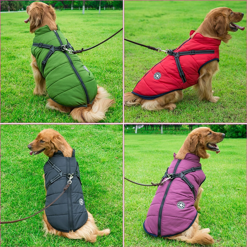 Dog Jacket With Harness Winter Warm Dog Clothes
